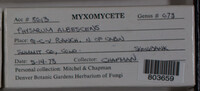 Image Associated With the Occurence